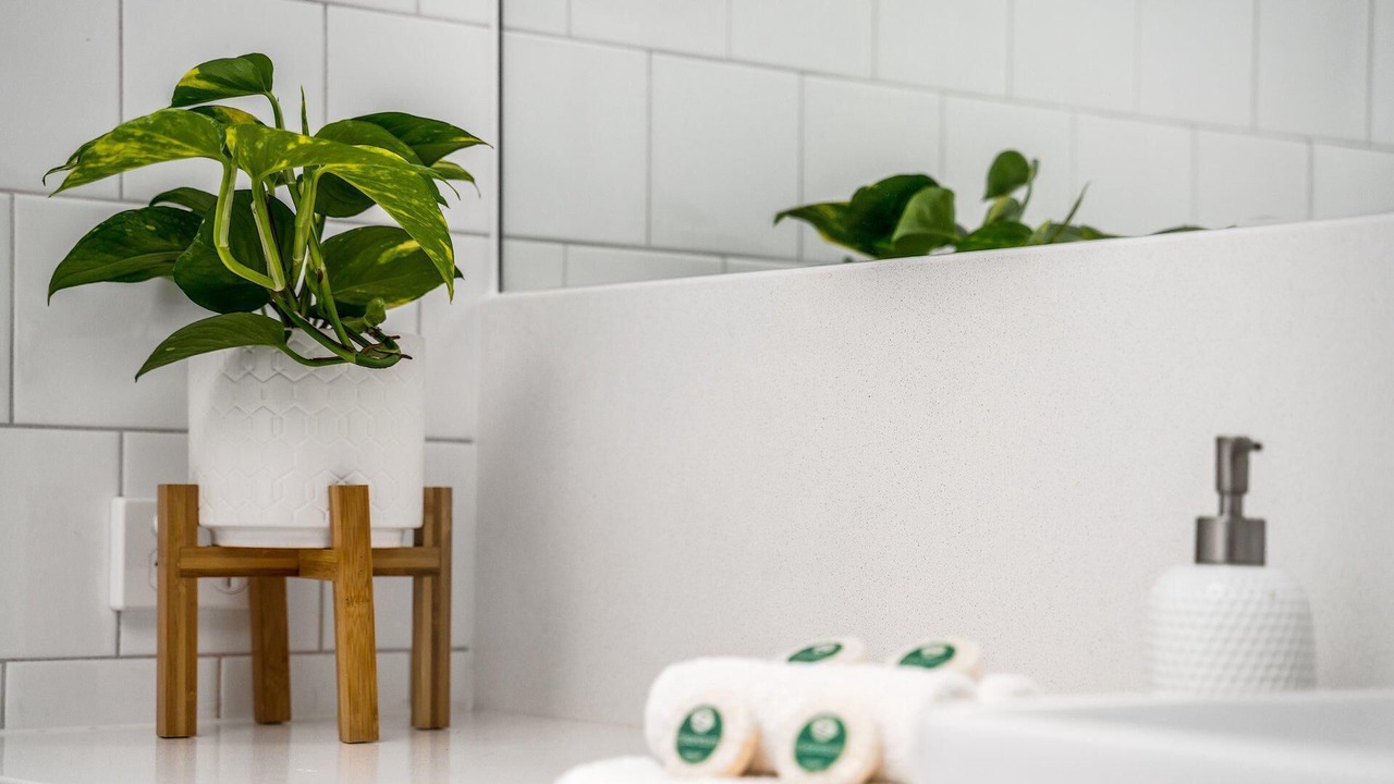 Photo of Bathroom in Byron Bay
