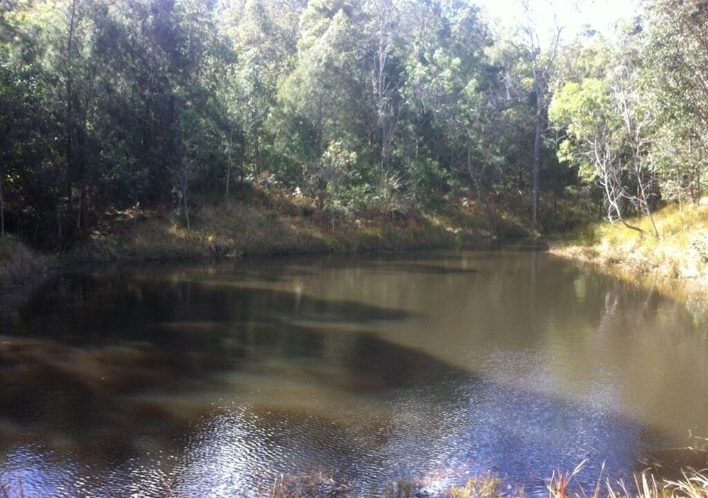 Photo of Others in Mount George