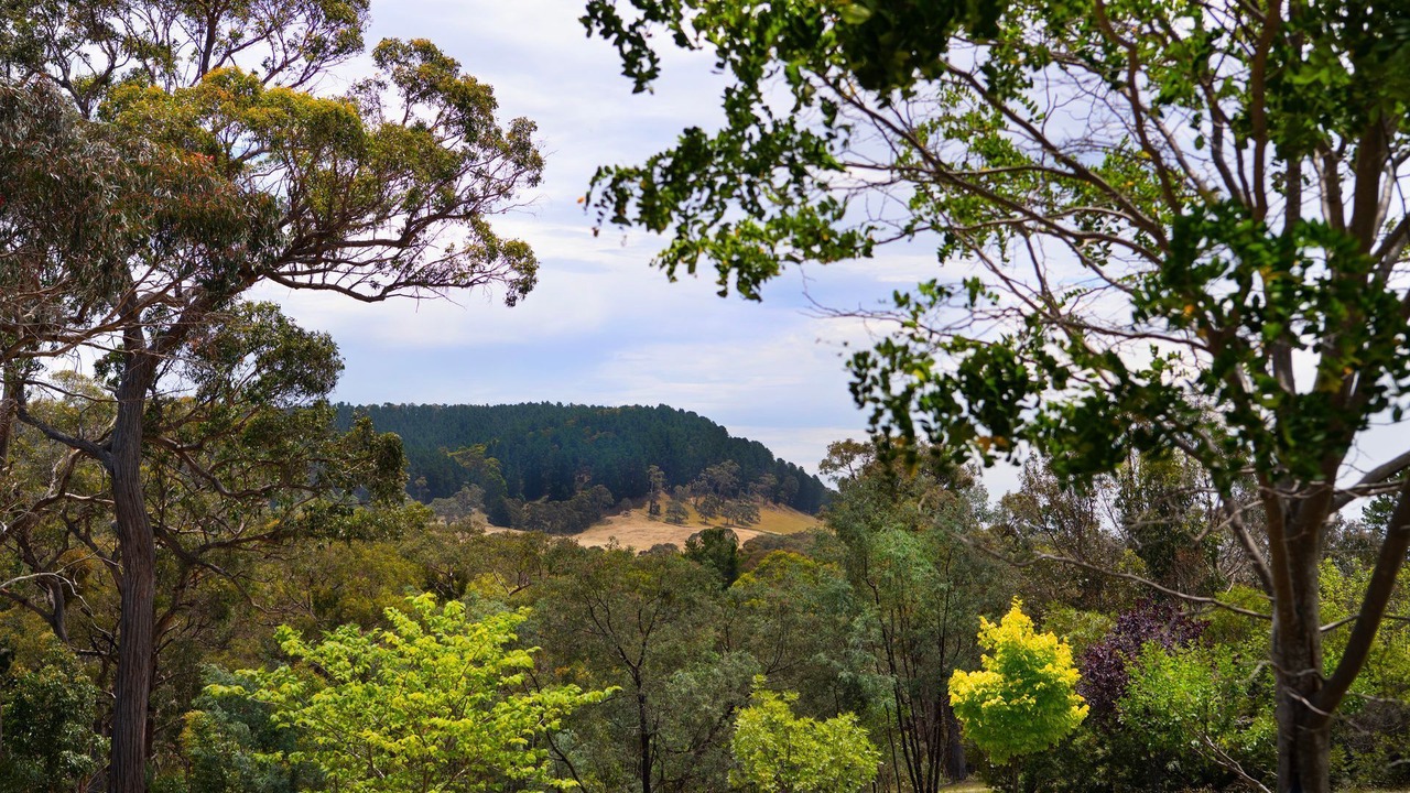 Photo of Others in Mount Franklin