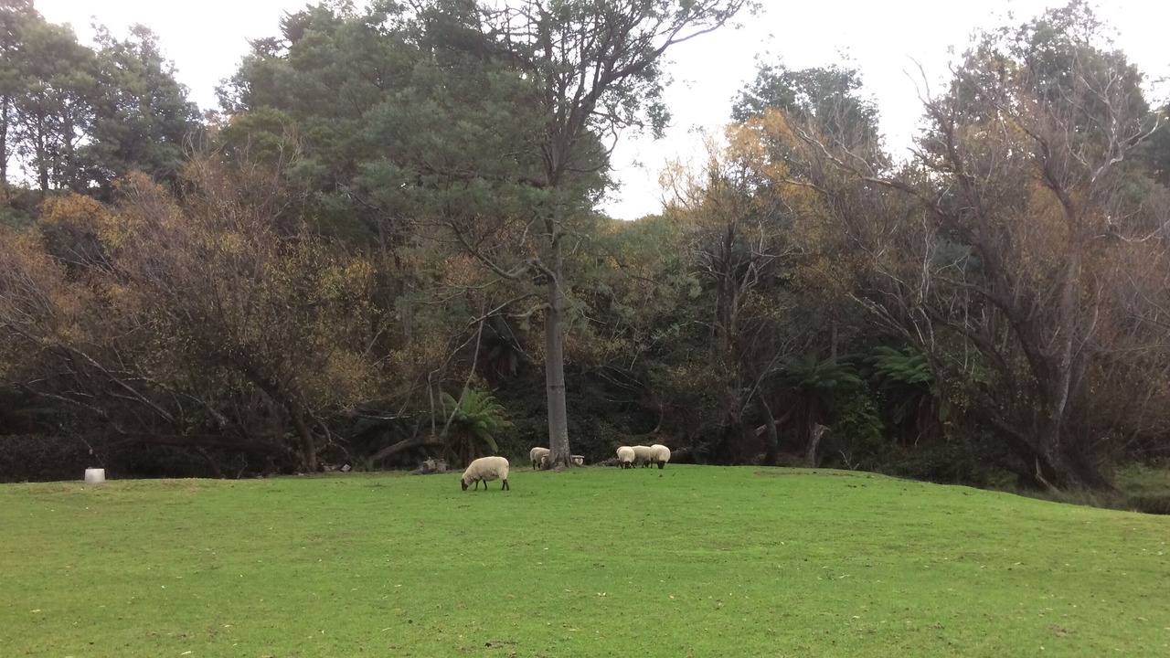 Photo of Others in Geeveston