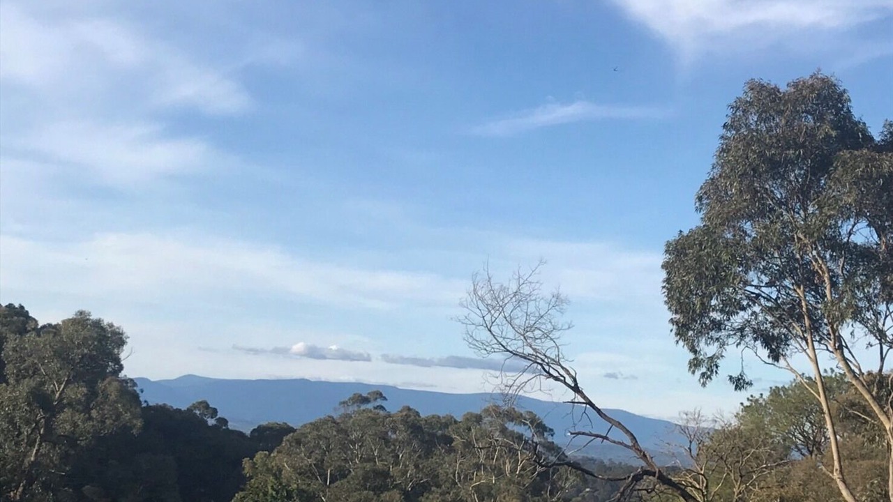 Photo of Others in Cockatoo