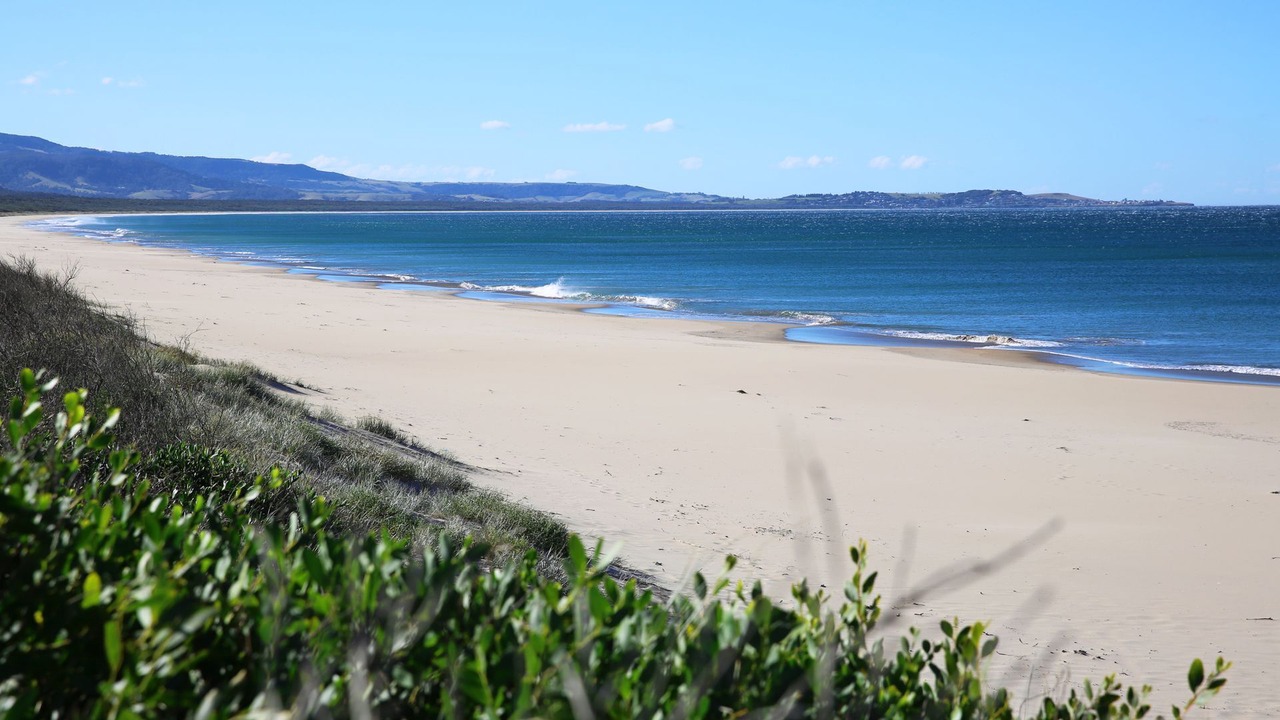 Photo of Others in Shoalhaven Heads