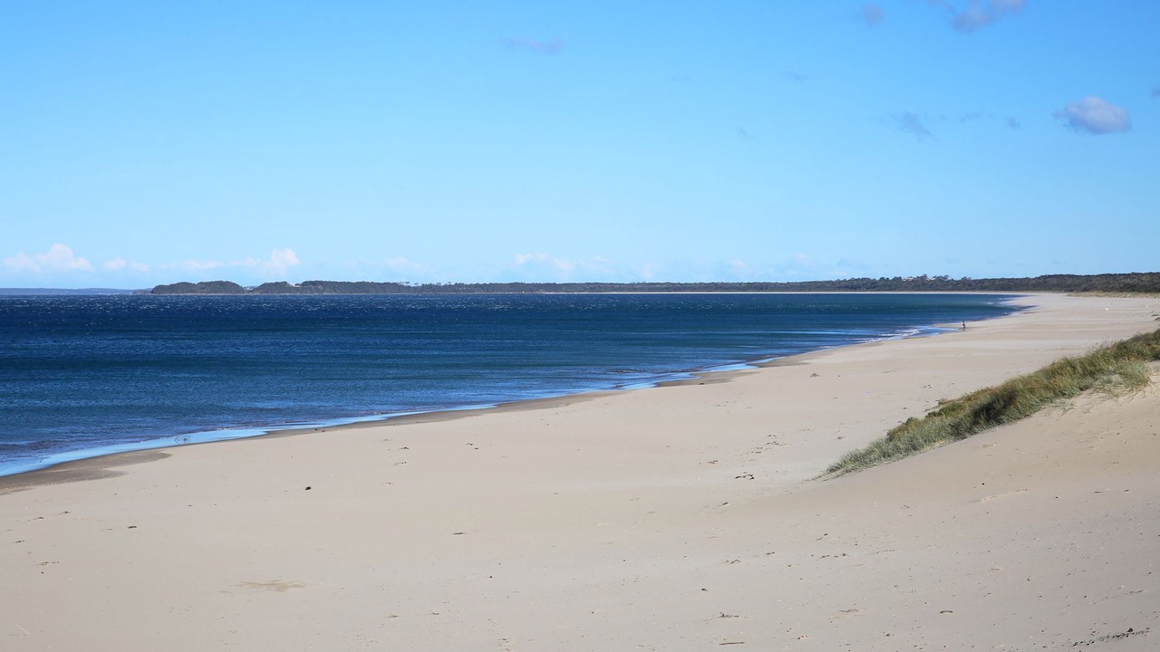 Photo of Others in Shoalhaven Heads