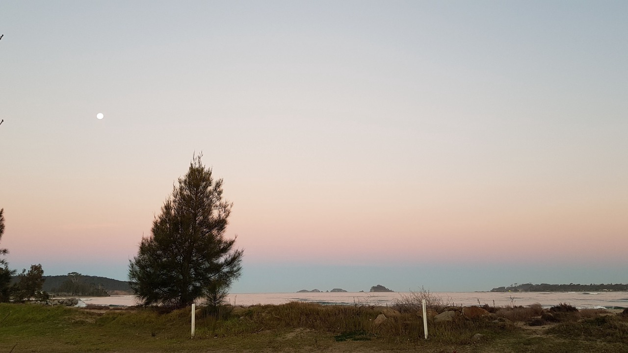Photo of Others in North Batemans Bay