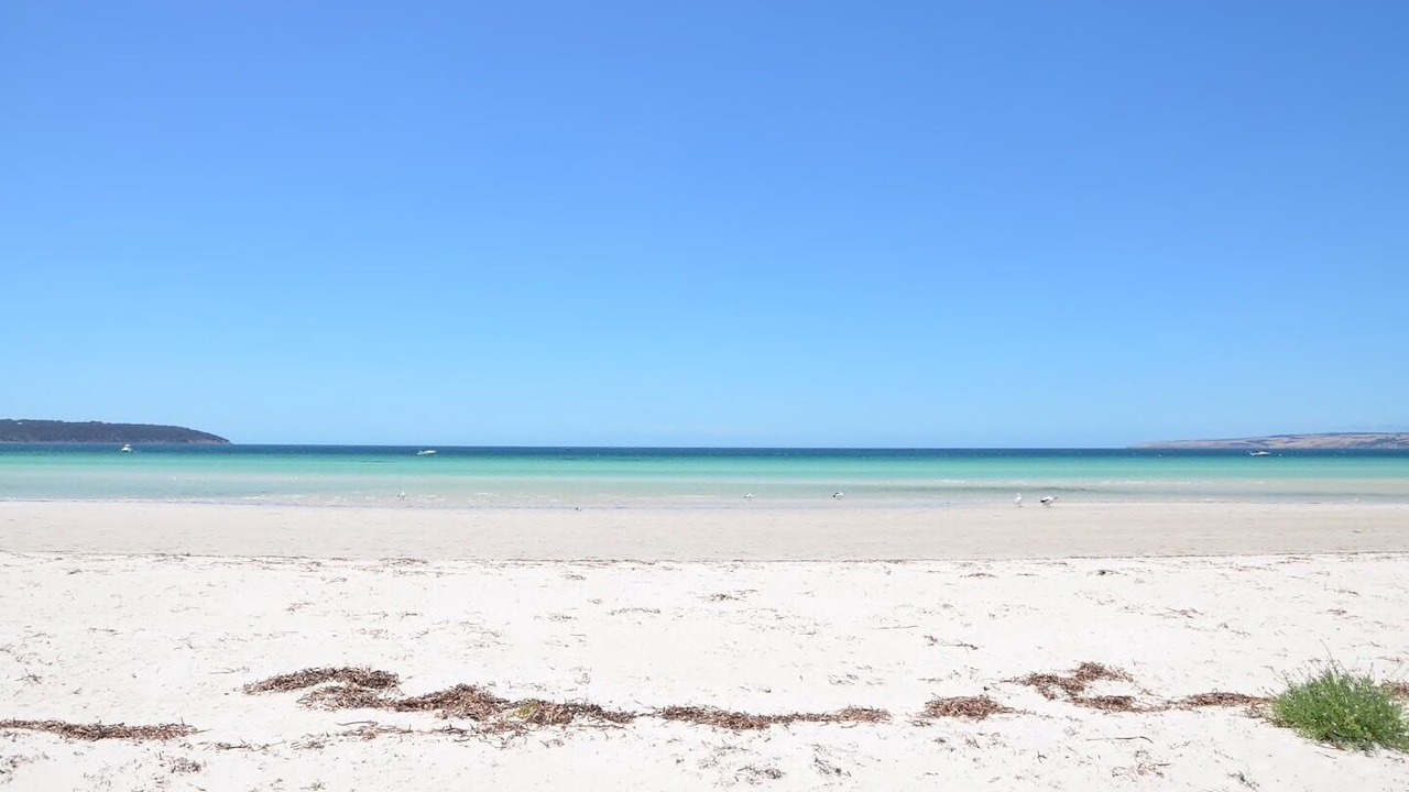 Photo of Others in Island Beach