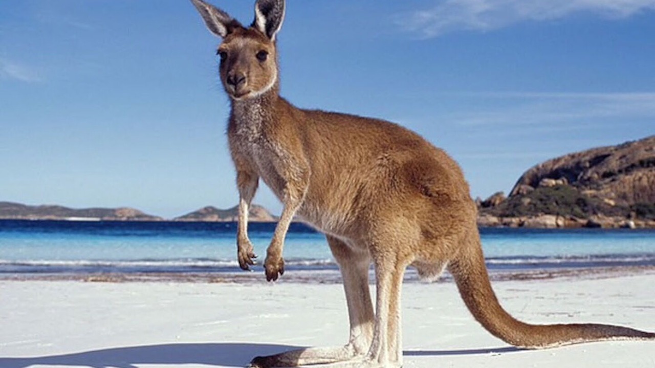 Photo of Others in Island Beach