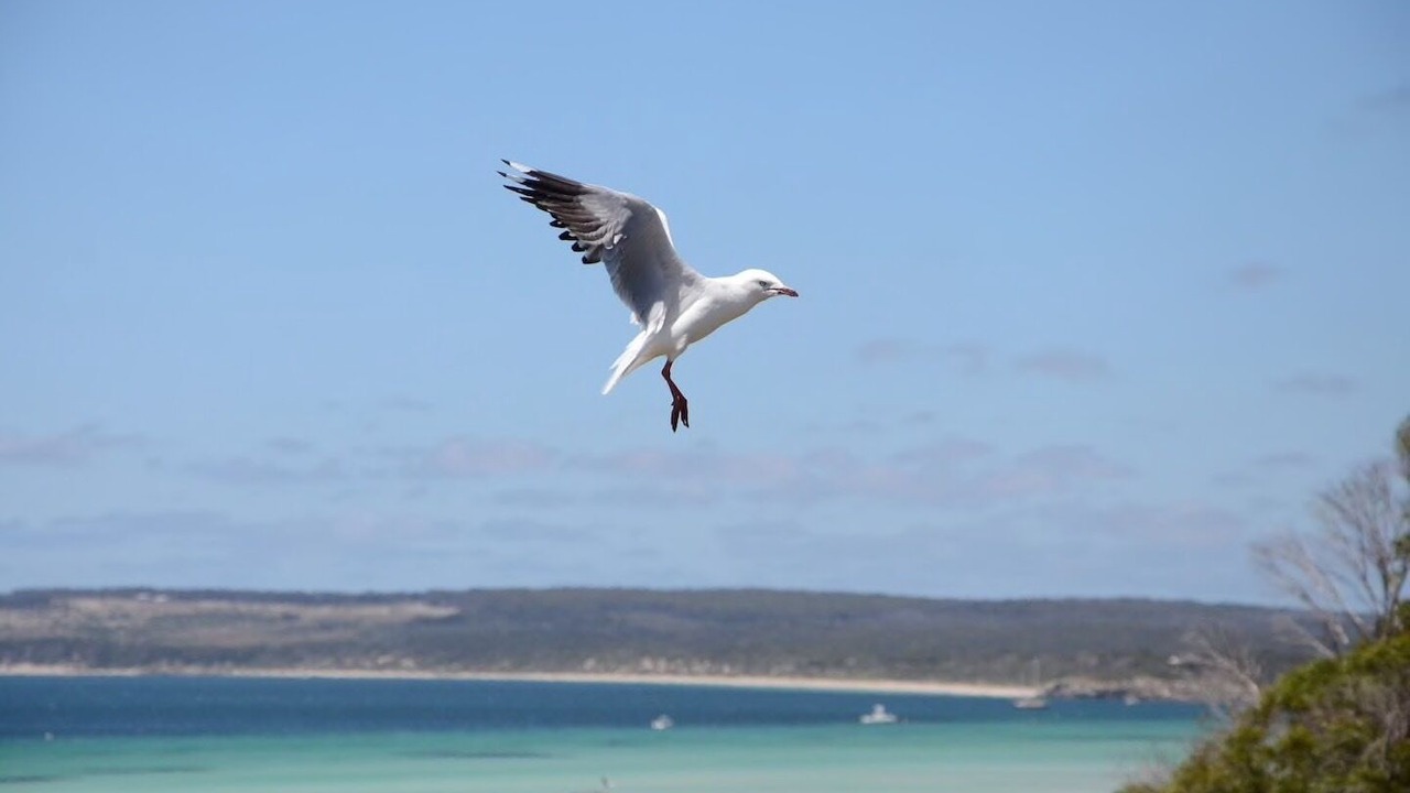 Photo of Others in Island Beach