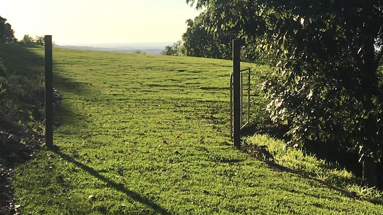 Photo of Outdoor in Balmoral Ridge