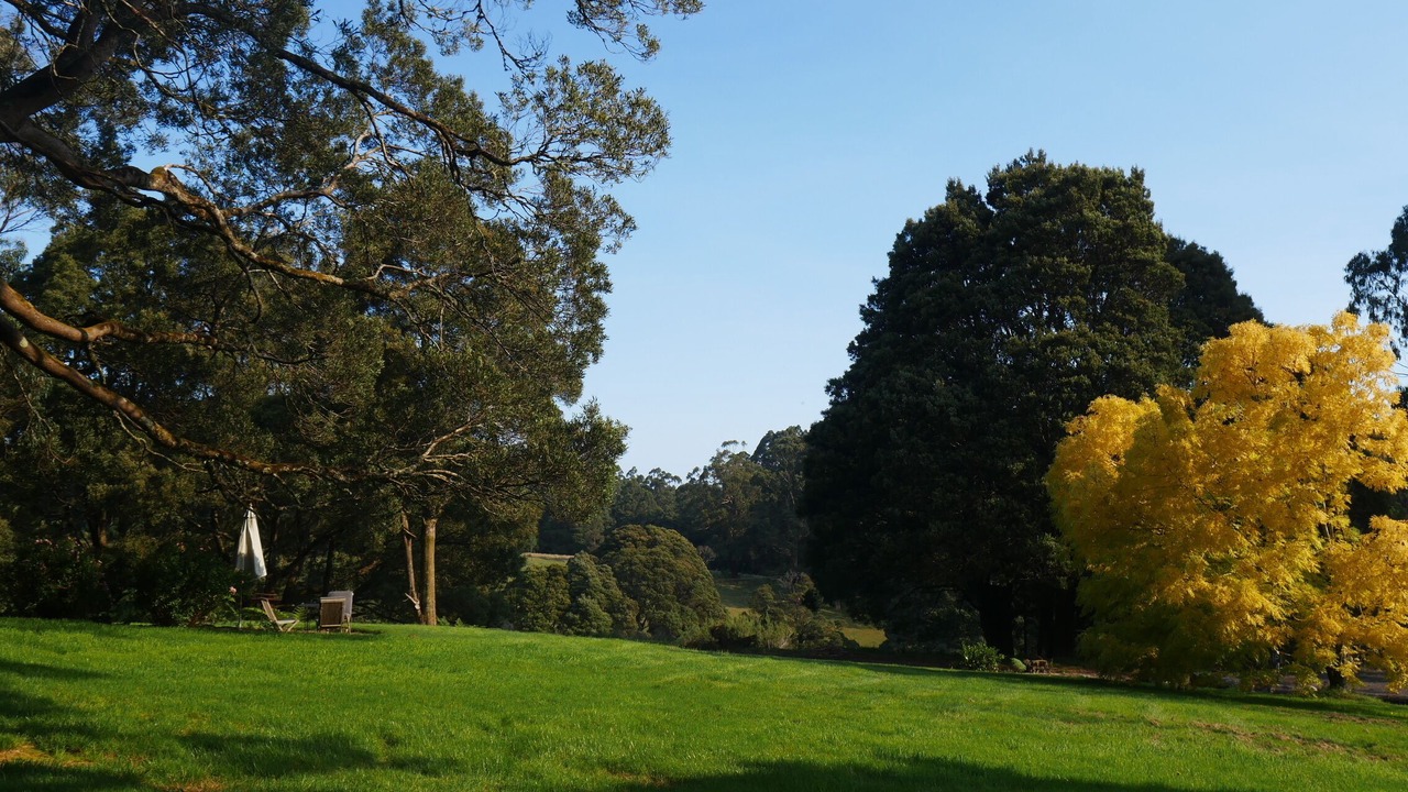 Photo of Outdoor in Tanybryn