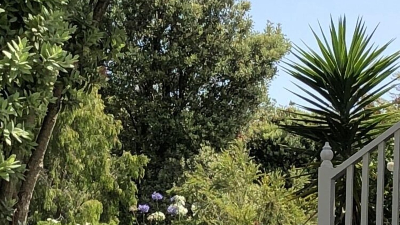 Photo of Outdoor in Marengo