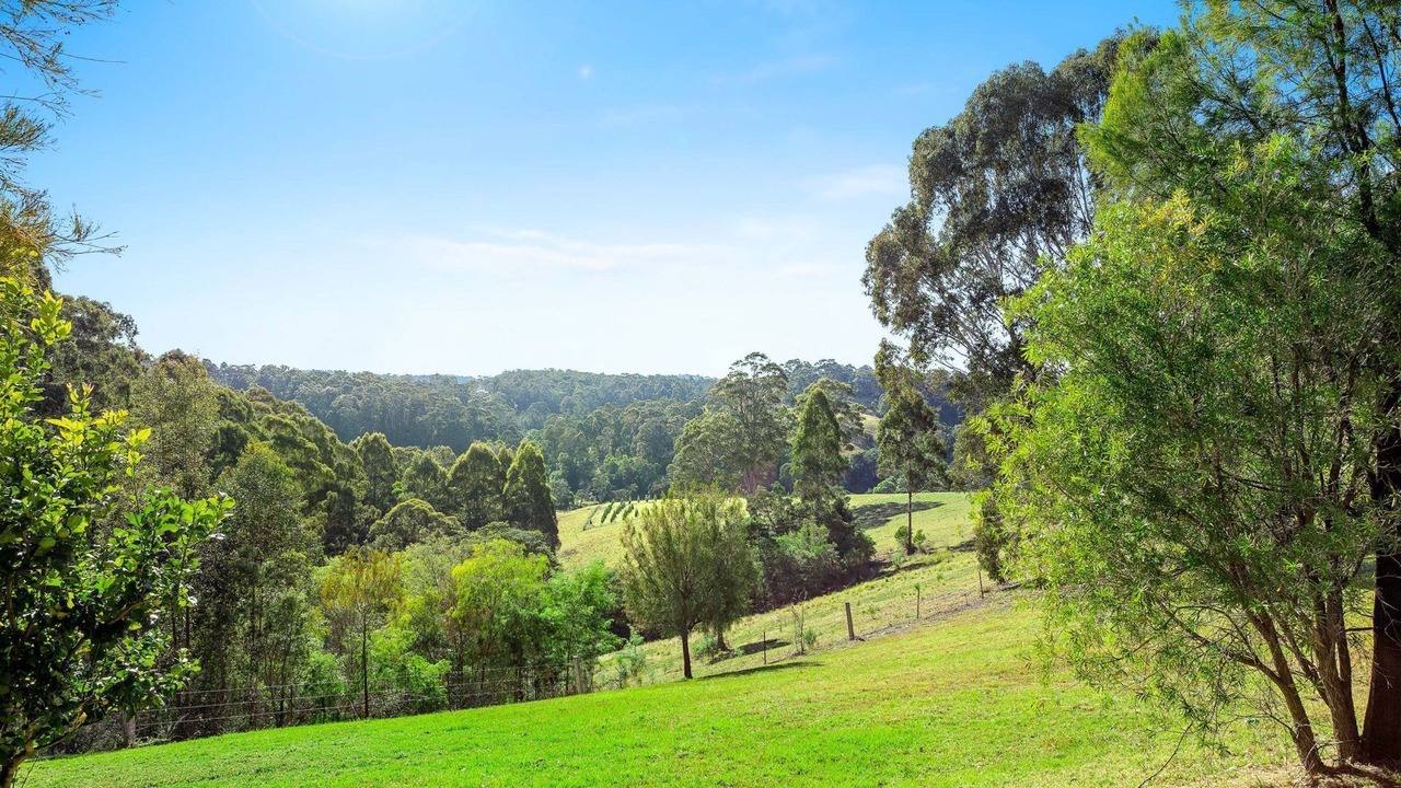 Photo of Outdoor in Central Tilba