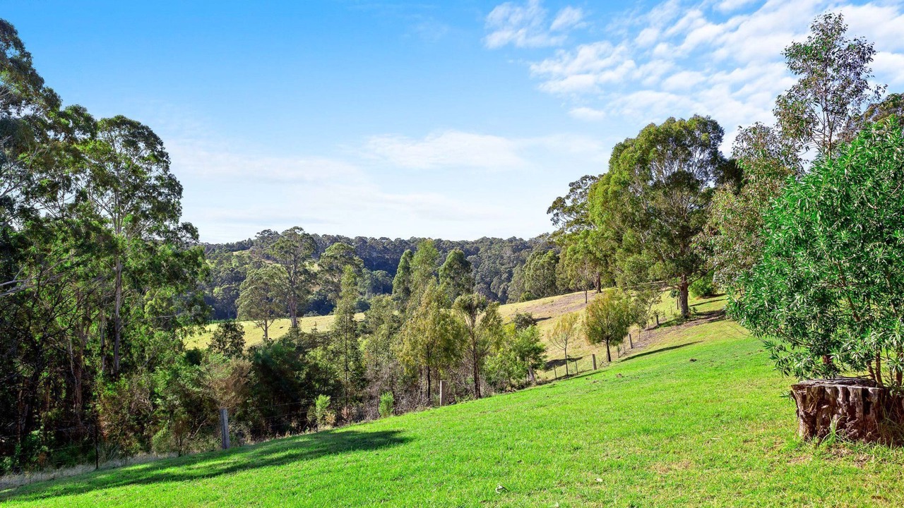 Photo of Outdoor in Central Tilba