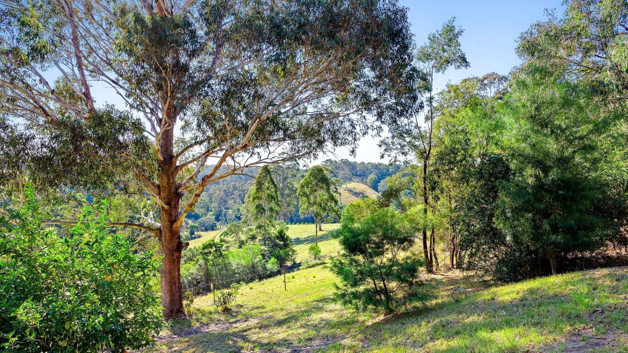 Photo of Outdoor in Central Tilba