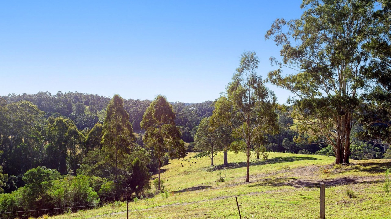 Photo of Outdoor in Central Tilba