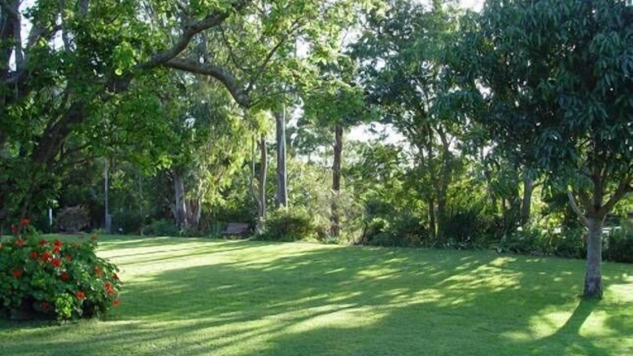 Photo of Others in Maleny