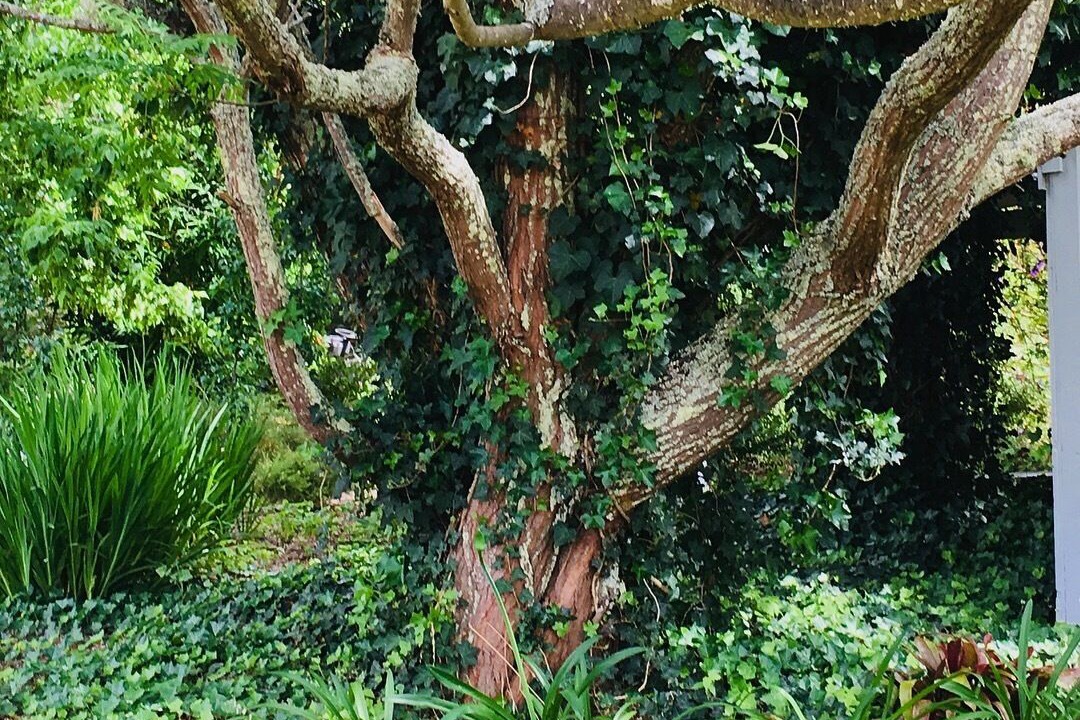 Photo of Outdoor in Balingup