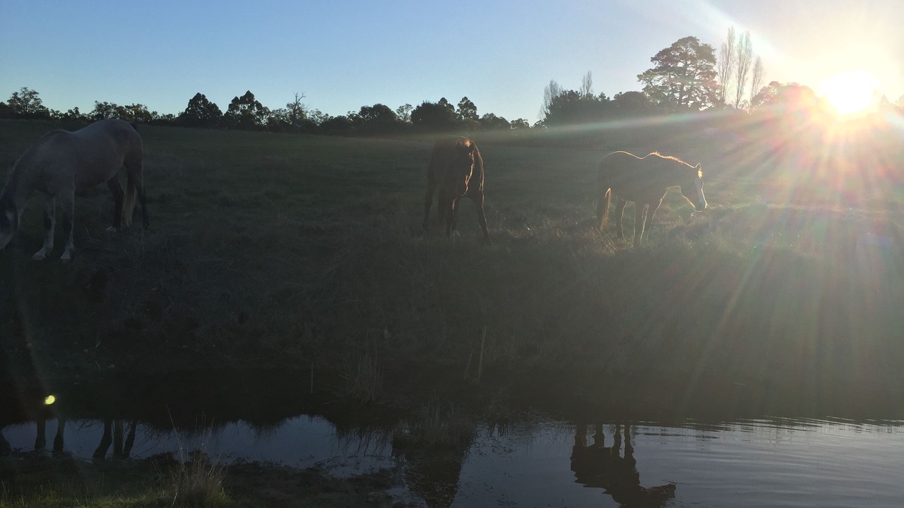 Photo of Outdoor in Balingup