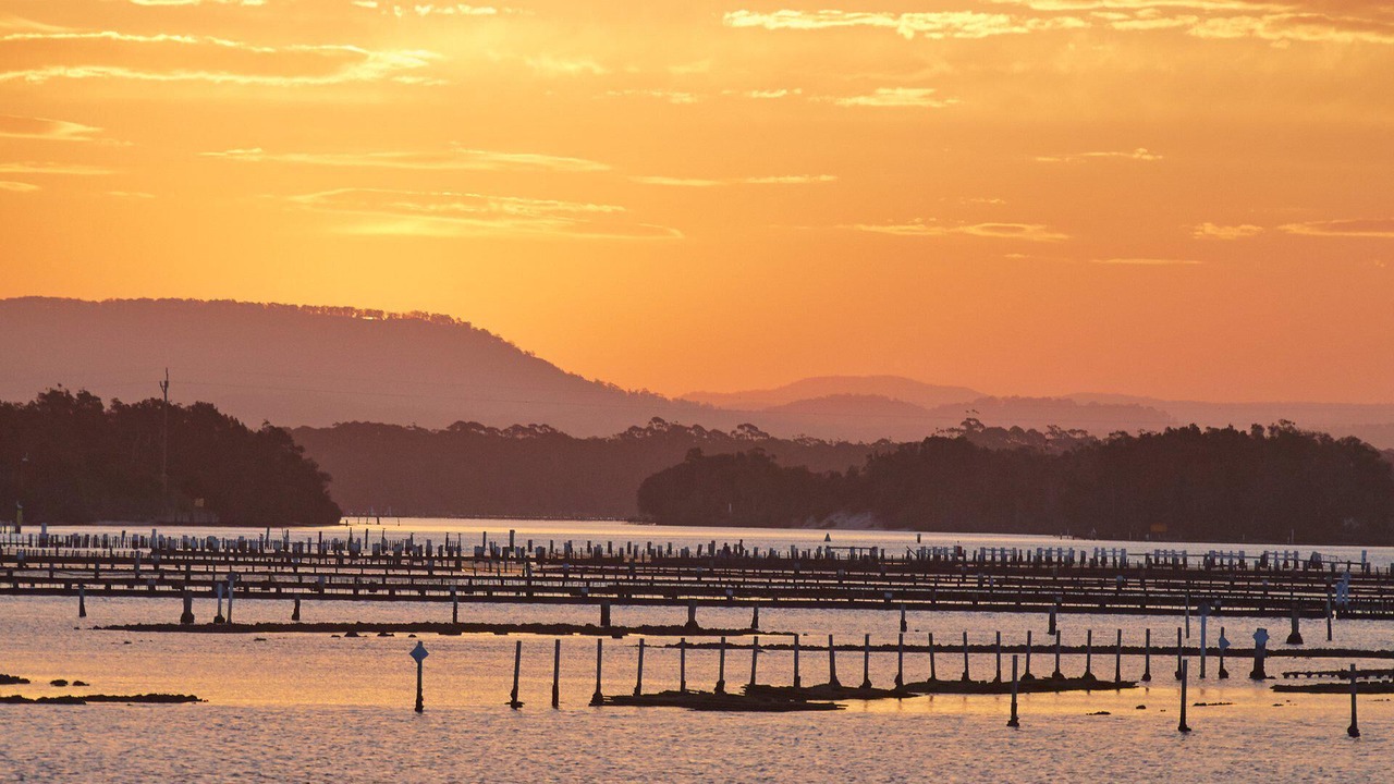 Photo of Others in Tuncurry