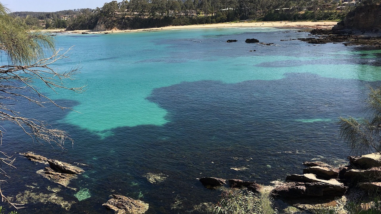 Photo of Outdoor in Denhams Beach