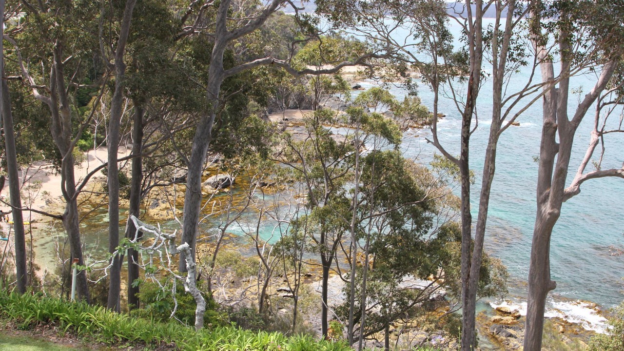 Photo of Outdoor in Denhams Beach