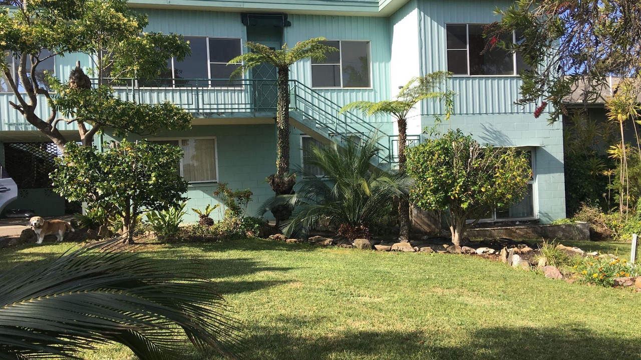 Photo of Outdoor in Denhams Beach