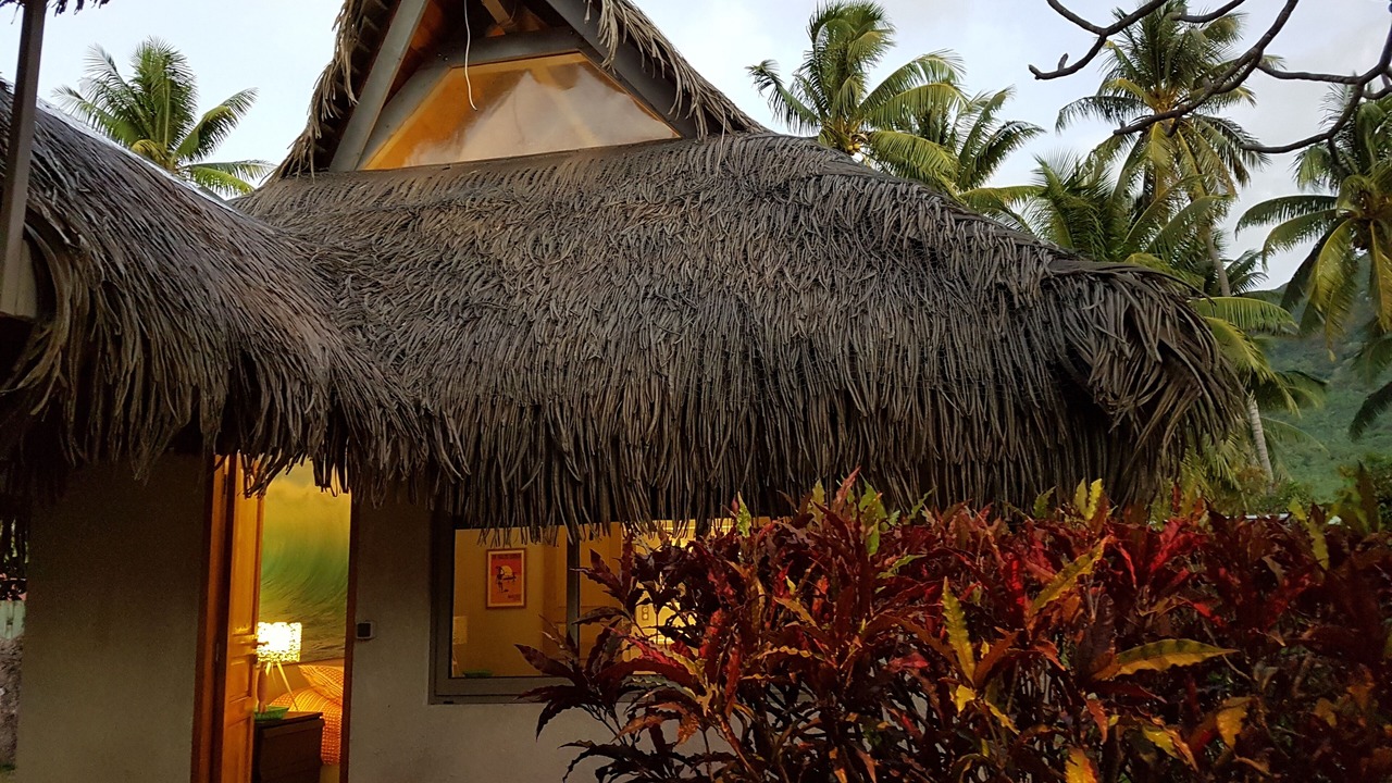 Photo of Outdoor in Otumai