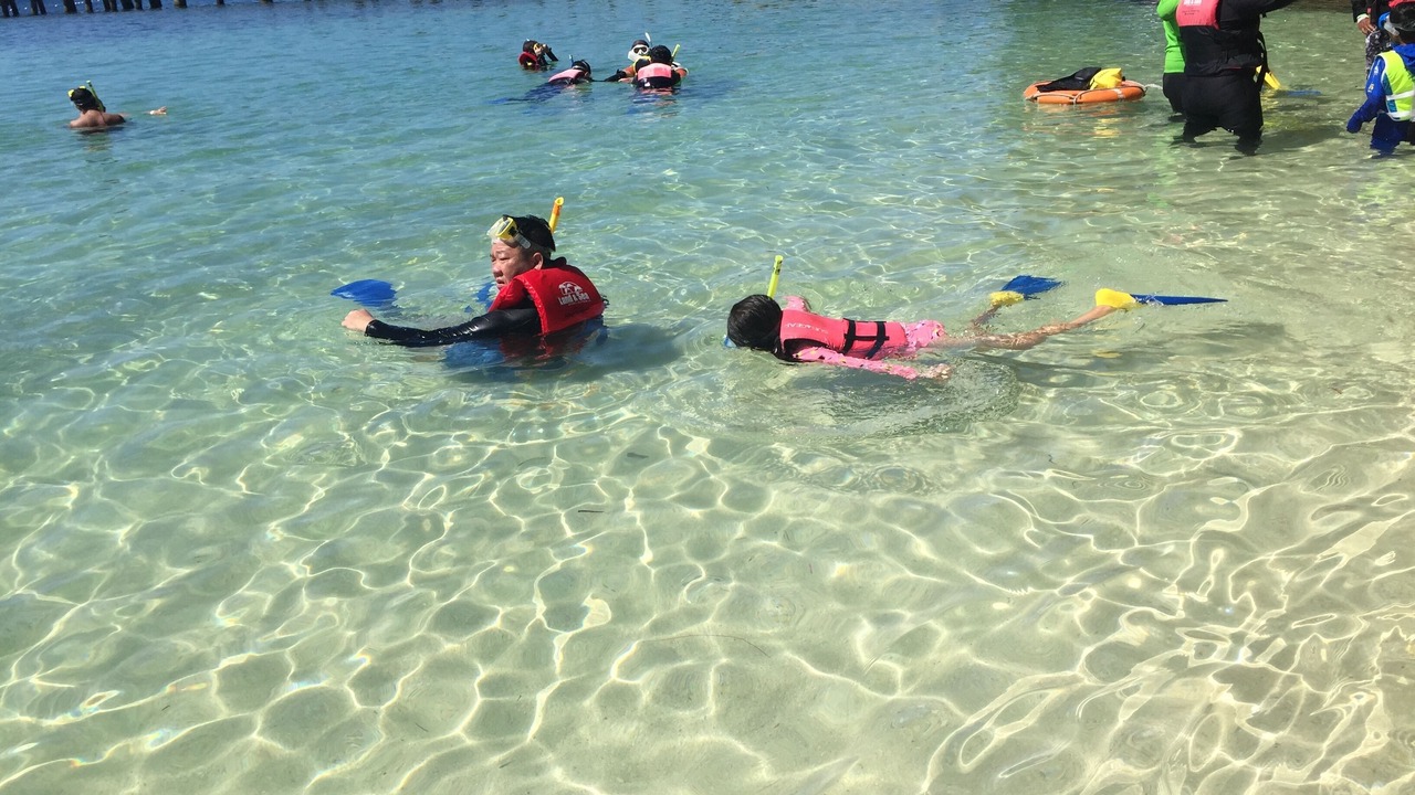 Photo of Others in Cairns North