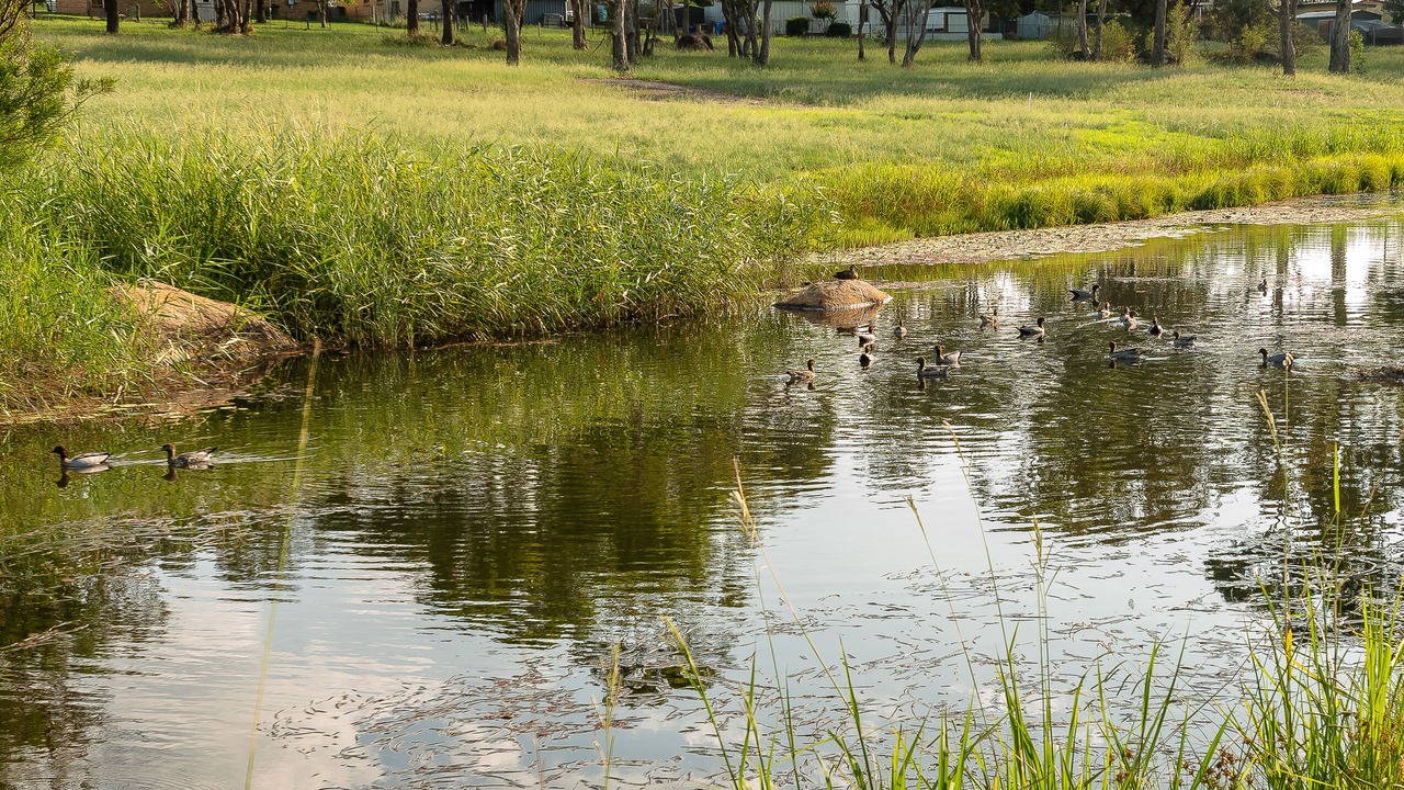 Photo of Outdoor in Stanthorpe