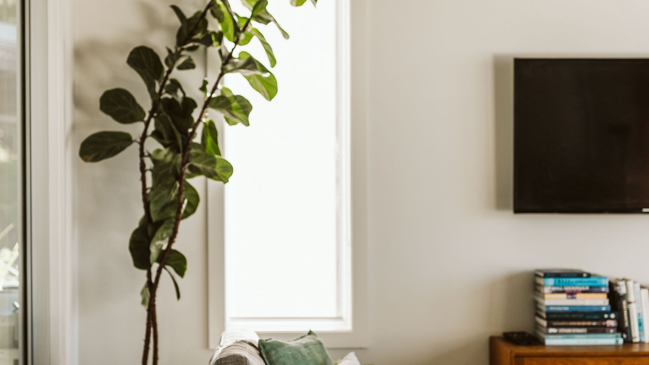 Photo of Livingroom in Kangaroo Valley
