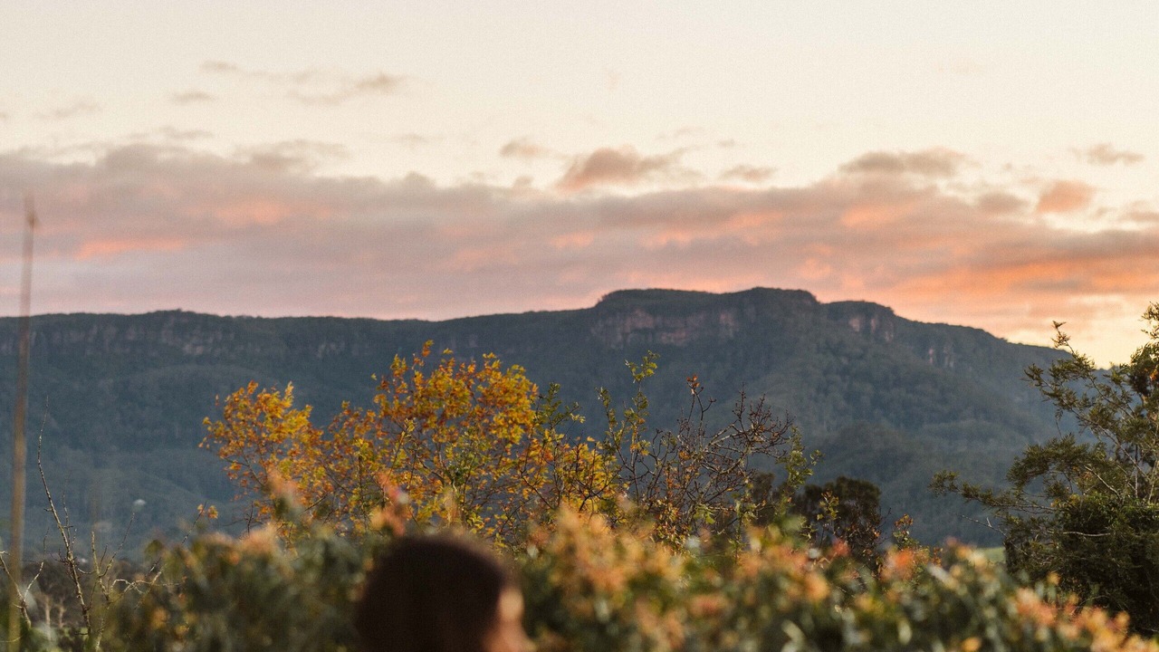 Photo of Others in Kangaroo Valley