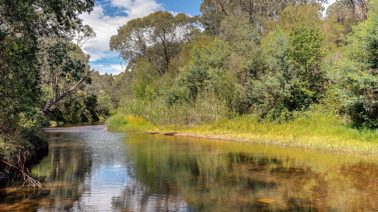 Photo of Outdoor in Porepunkah