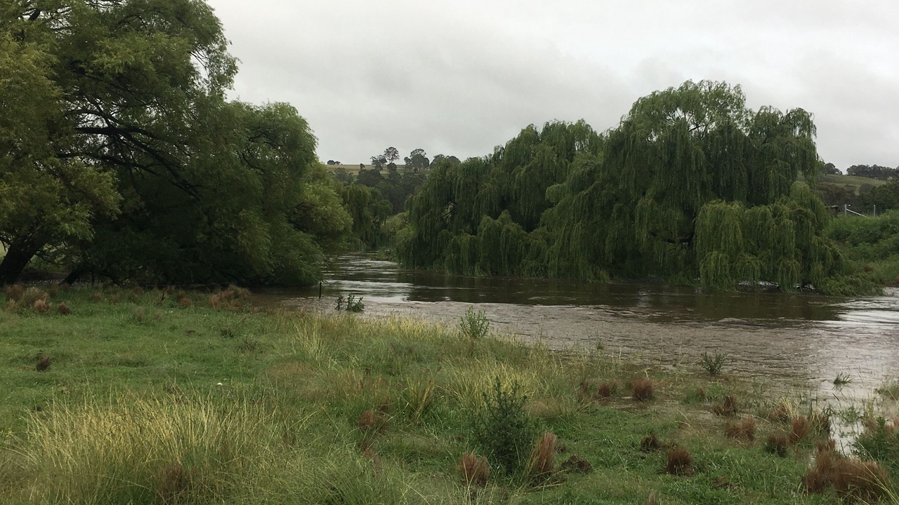 Photo of Outdoor in Wollomombi