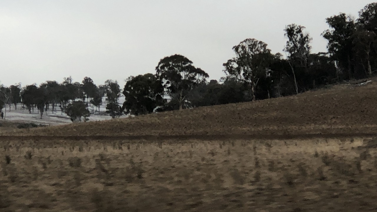 Photo of Outdoor in Wollomombi
