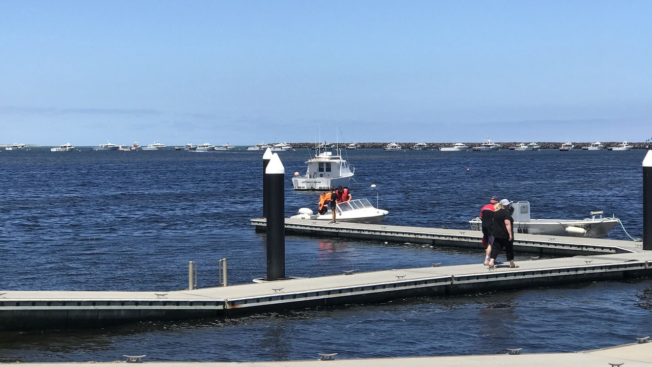 Photo of Others in Port Macdonnell