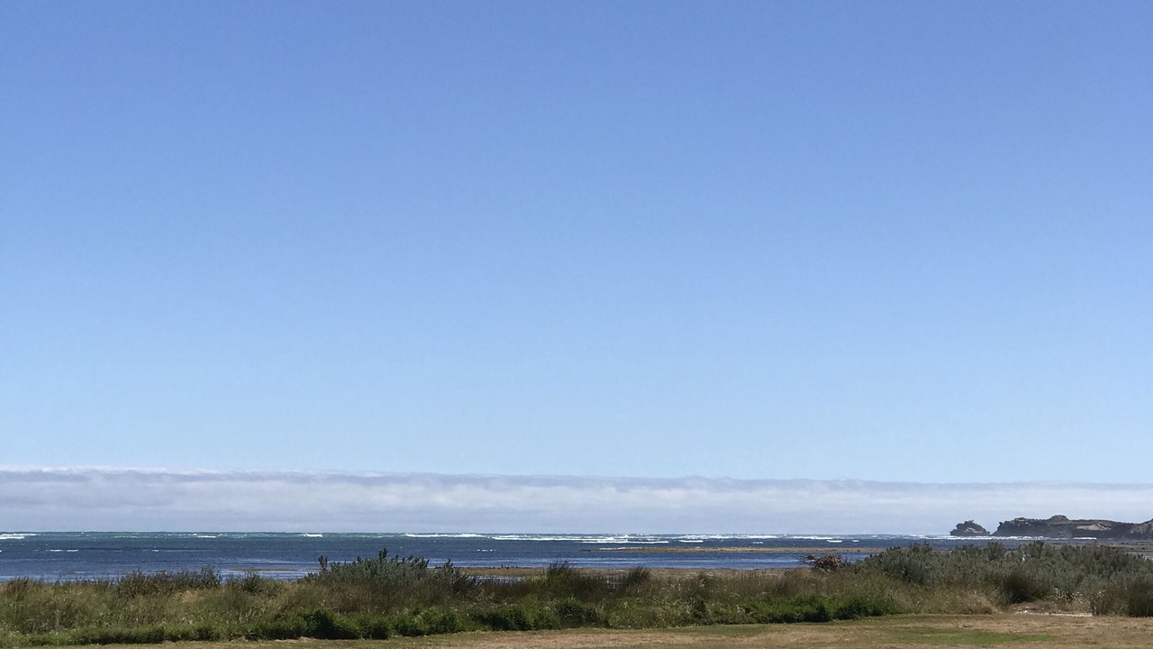 Photo of Others in Port Macdonnell