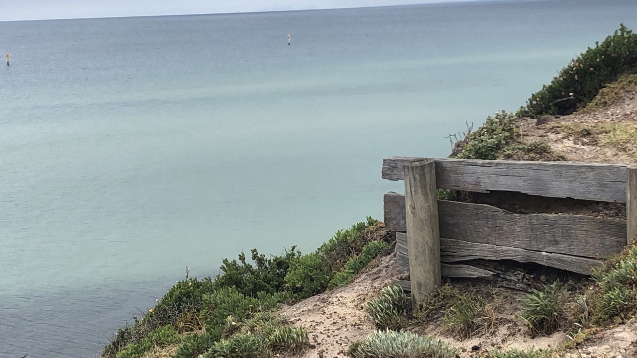 Photo of Others in Mornington
