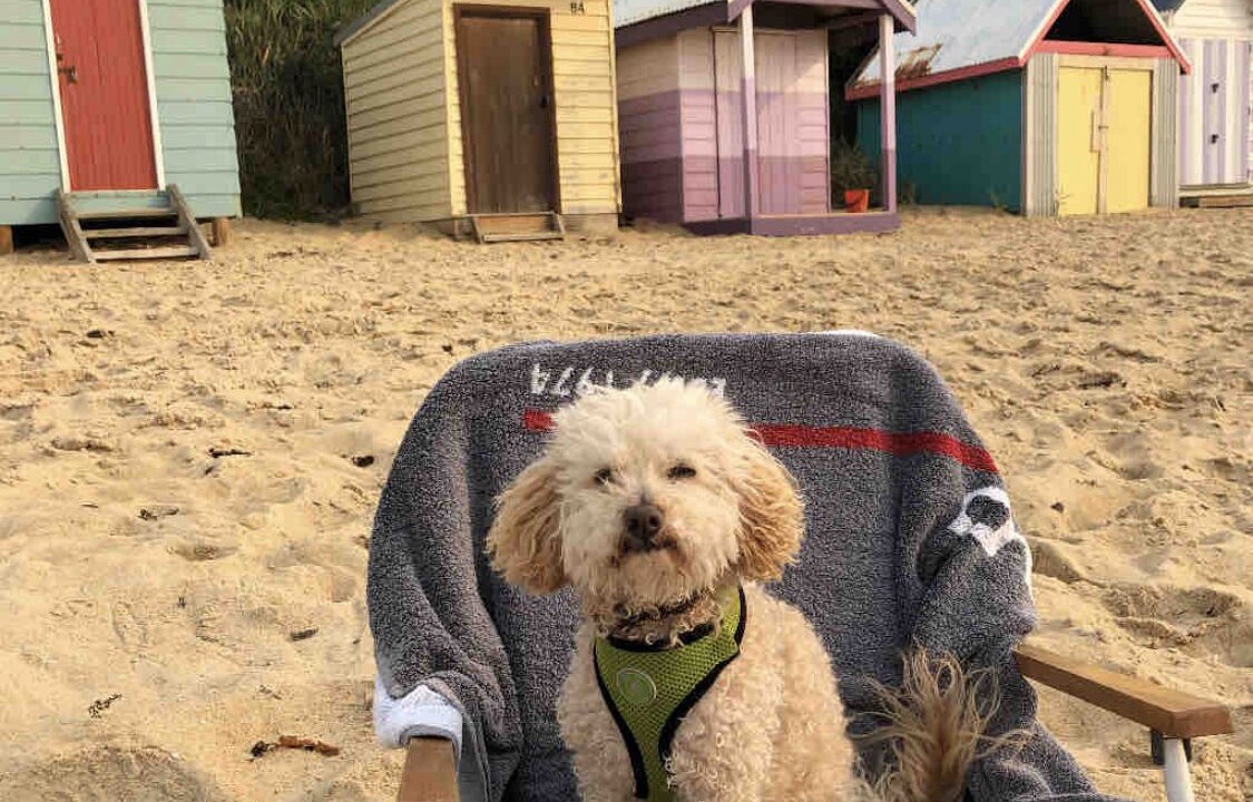 Photo of Others in Mornington