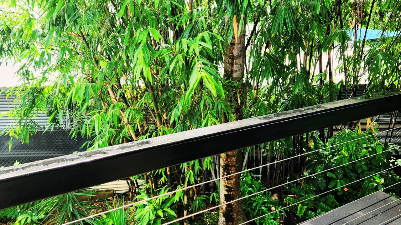 Photo of Outdoor in Moil