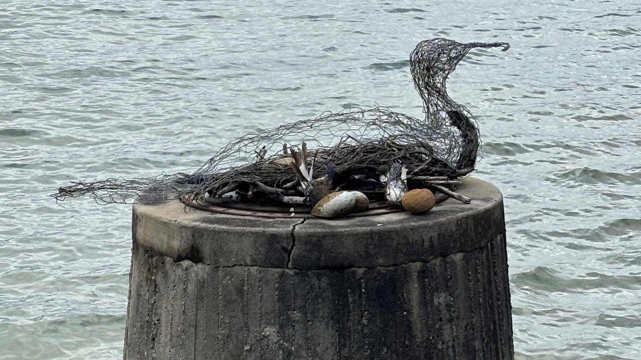 Photo of Others in Bayview