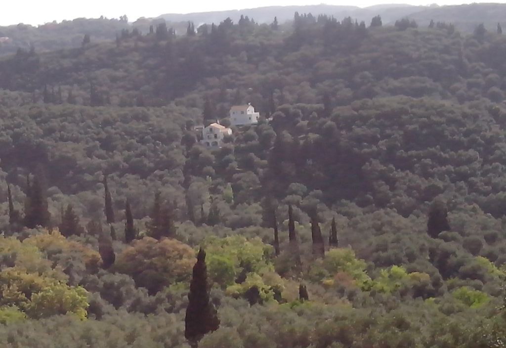 Photo of Others in Petaleia
