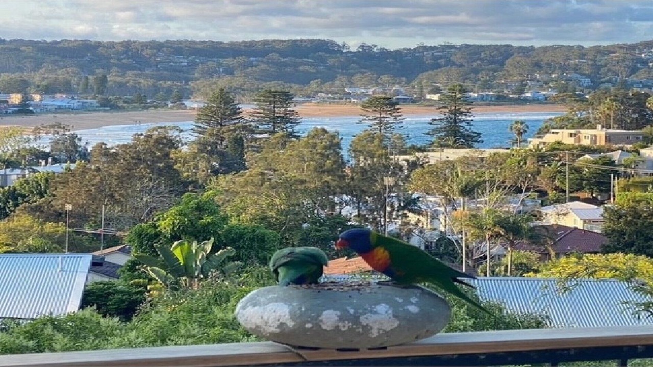 Photo of Others in Avoca Beach