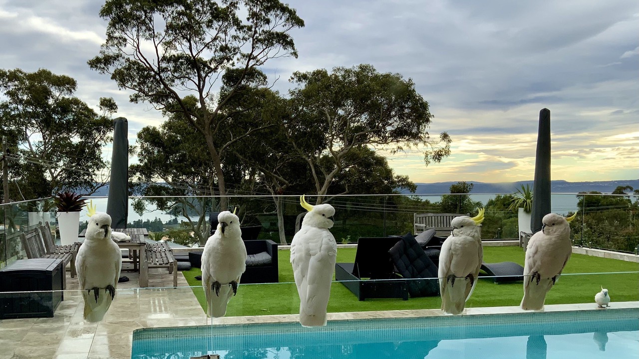 Photo of Outdoor in Palm Beach