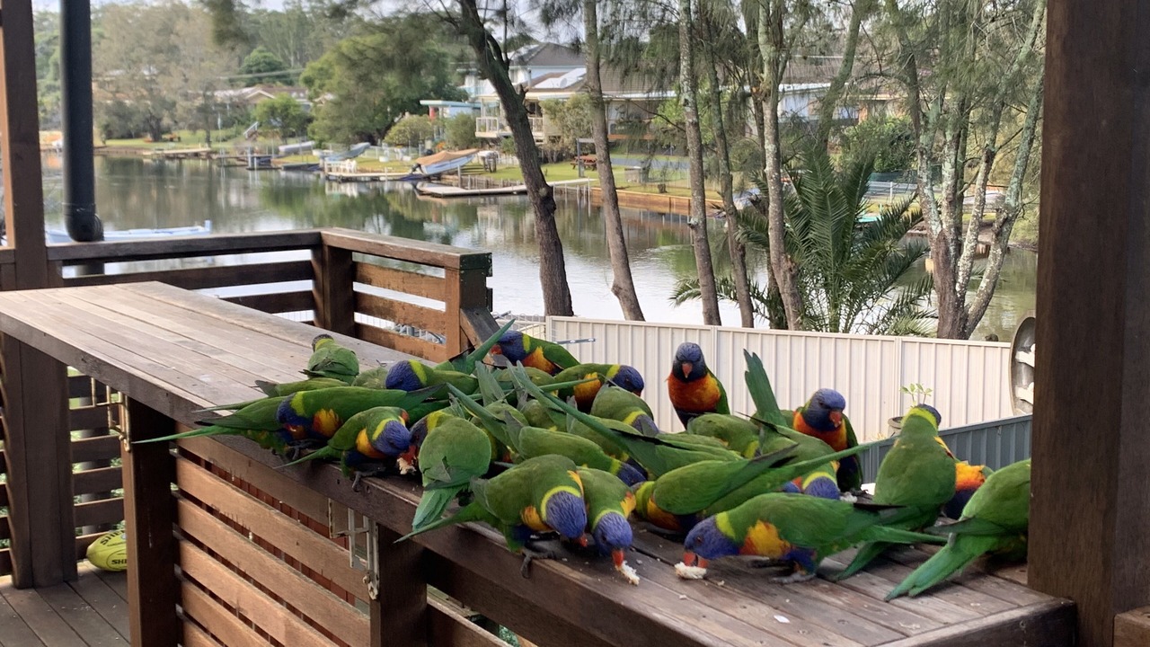 Photo of Outdoor in Lake Conjola