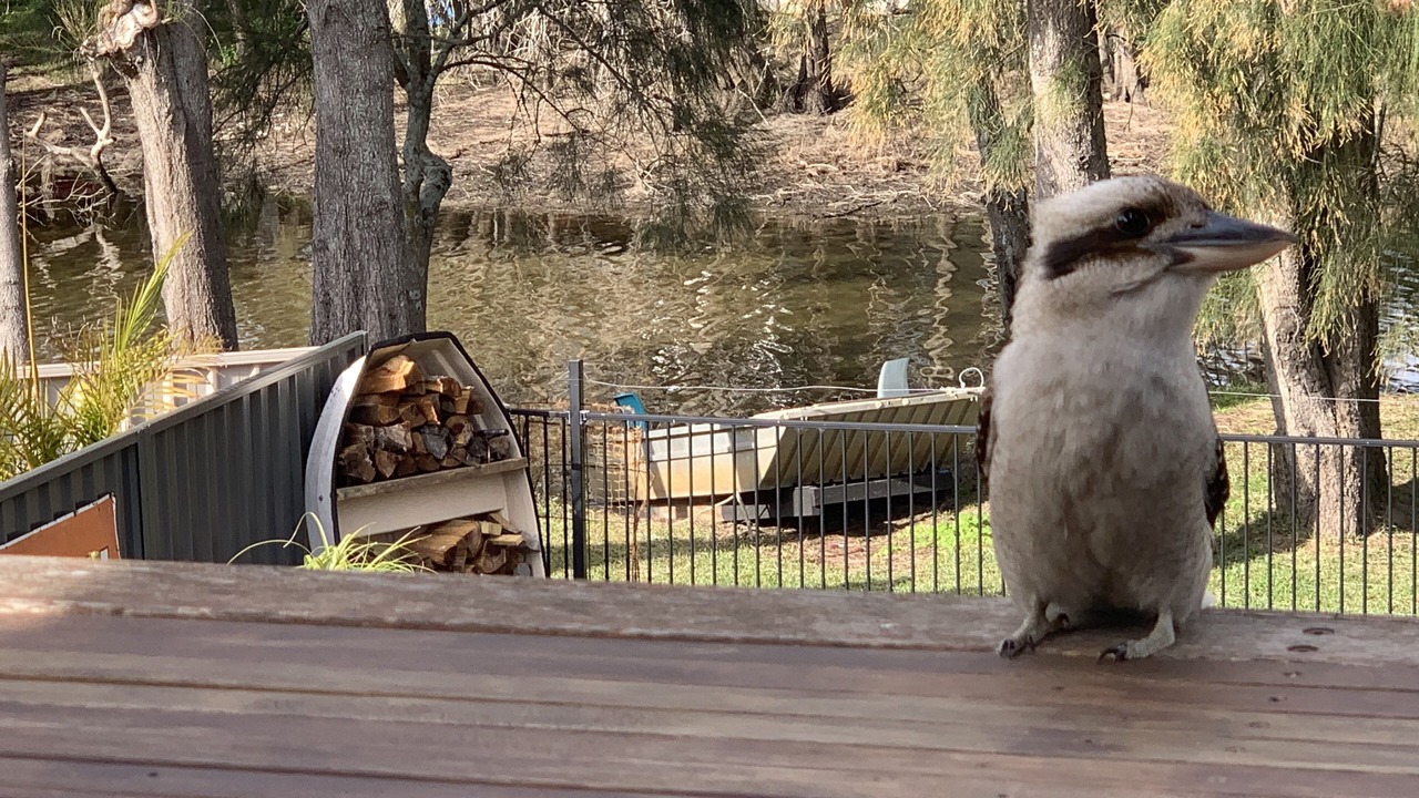 Photo of Outdoor in Lake Conjola
