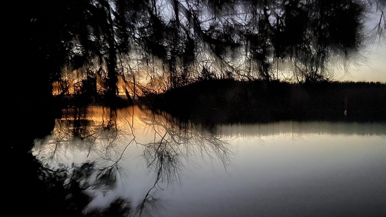 Photo of Others in Lake Conjola