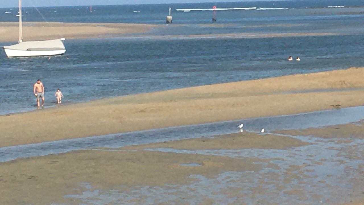 Photo of Others in Barwon Heads
