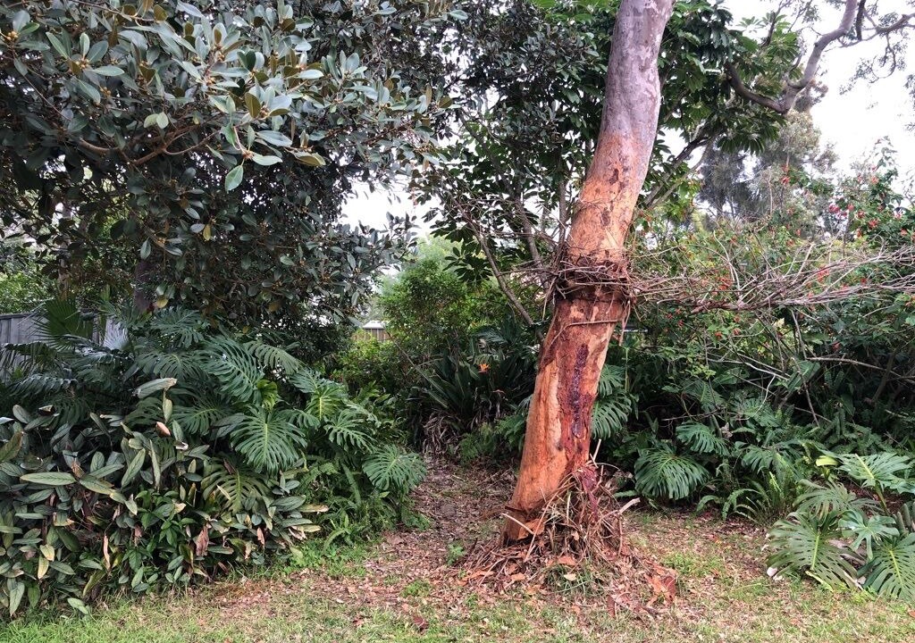 Photo of Outdoor in Bundeena
