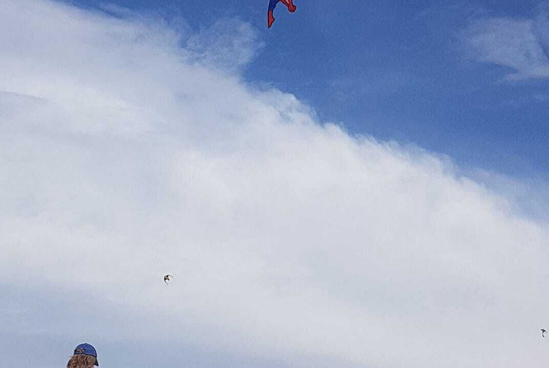 Photo of Others in Semaphore