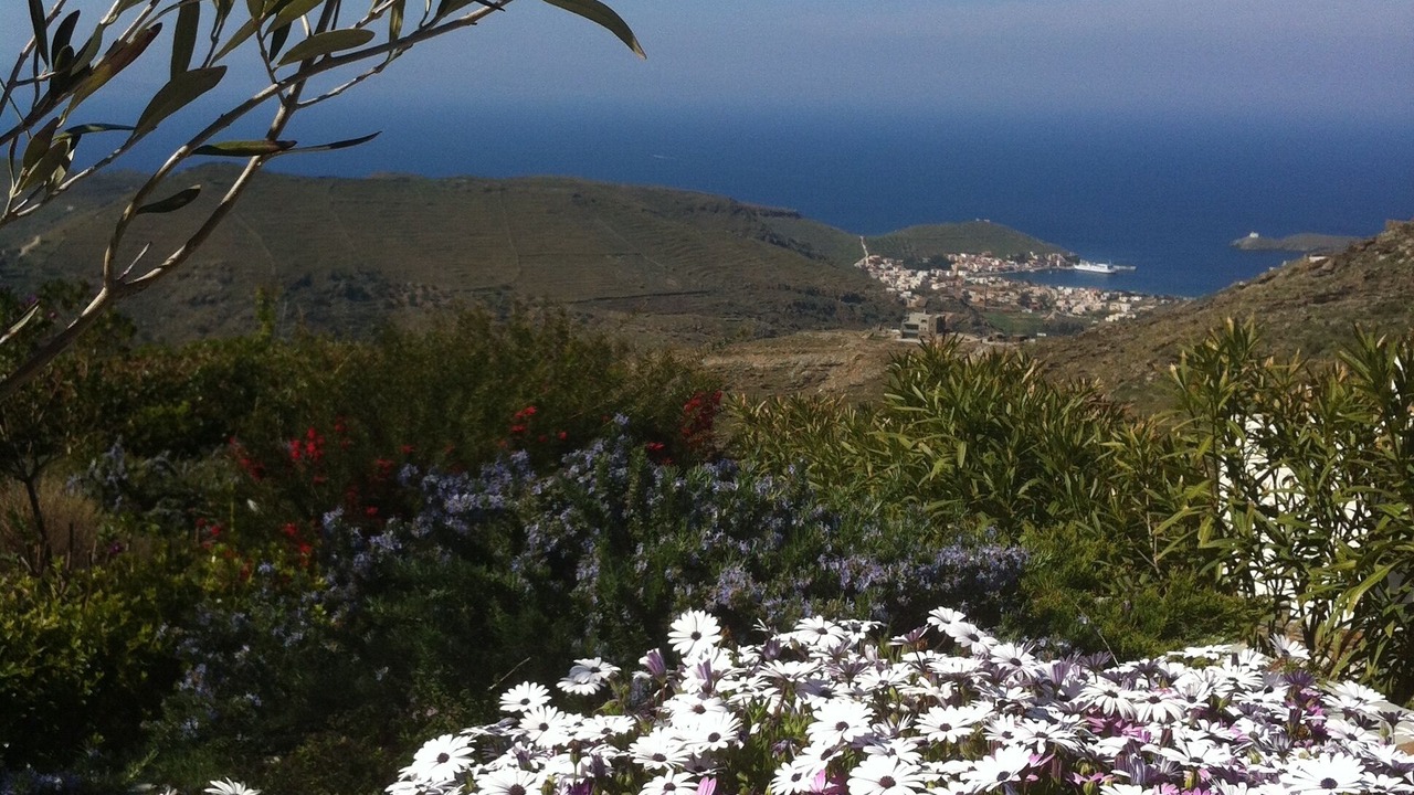 Photo of Outdoor in Ioulida