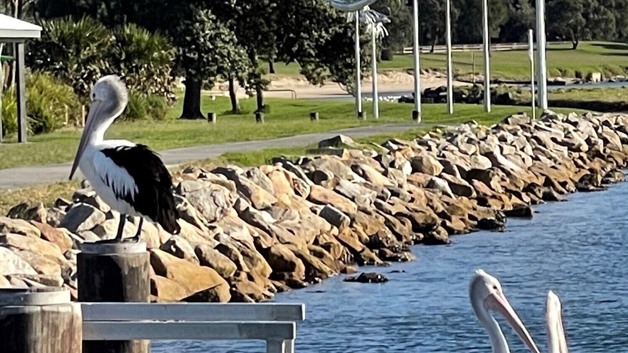 Photo of Others in Windang